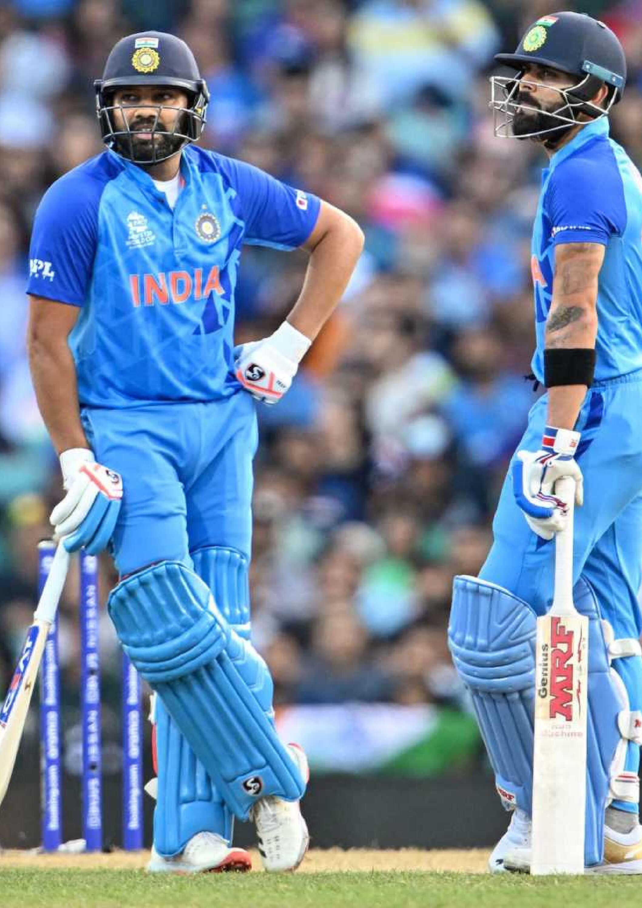 Rohit And Virat - VR02